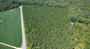 0 LEWIS MOORE RD, RUTHER GLEN, Virginia 22546, ,Land,For sale,0 LEWIS MOORE RD,VACV2008342 MLS # VACV2008342