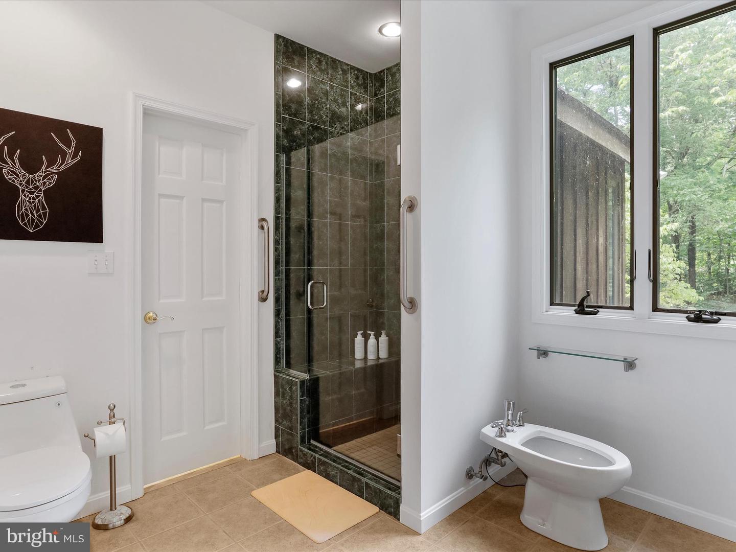 3113 CALMES NECK LN, BOYCE, Virginia 22620, 4 Bedrooms Bedrooms, ,3 BathroomsBathrooms,Residential,For sale,3113 CALMES NECK LN,VACL2003752 MLS # VACL2003752