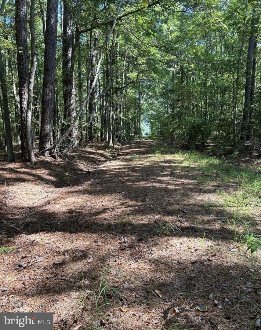 0 OAK DR., HAGUE, Virginia 22469, ,Land,For sale,0 OAK DR.,VAWE2009144 MLS # VAWE2009144