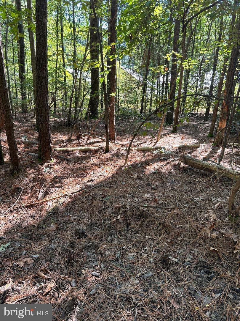 0 OAK DR., HAGUE, Virginia 22469, ,Land,For sale,0 OAK DR.,VAWE2009144 MLS # VAWE2009144