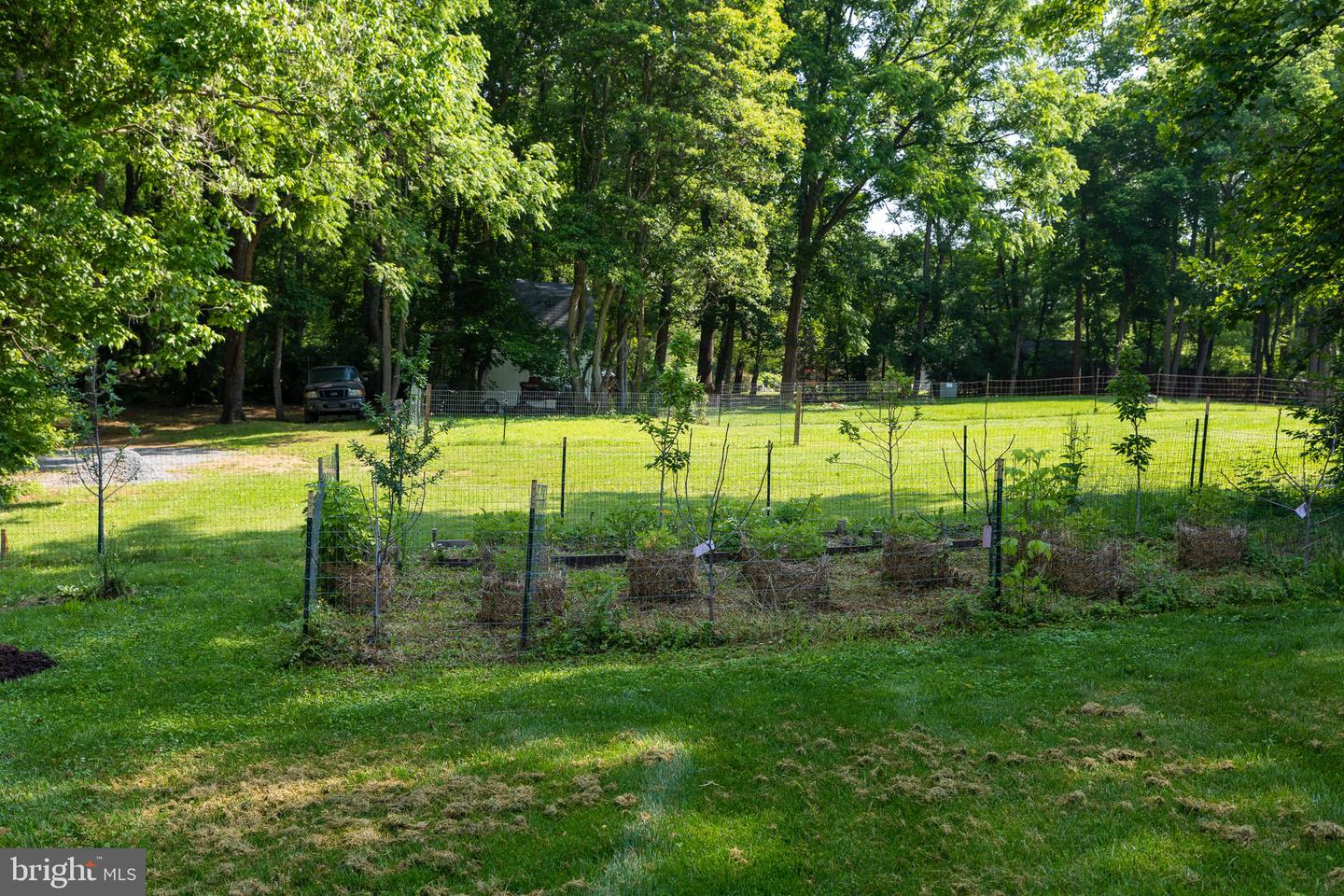 3020 PARSHALL RD, BERRYVILLE, Virginia 22611, 3 Bedrooms Bedrooms, ,2 BathroomsBathrooms,Residential,For sale,3020 PARSHALL RD,VACL2003846 MLS # VACL2003846