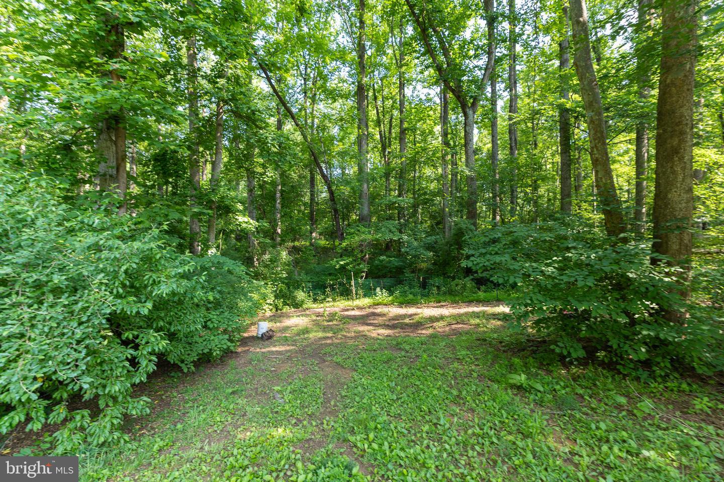 3020 PARSHALL RD, BERRYVILLE, Virginia 22611, 3 Bedrooms Bedrooms, ,2 BathroomsBathrooms,Residential,For sale,3020 PARSHALL RD,VACL2003846 MLS # VACL2003846