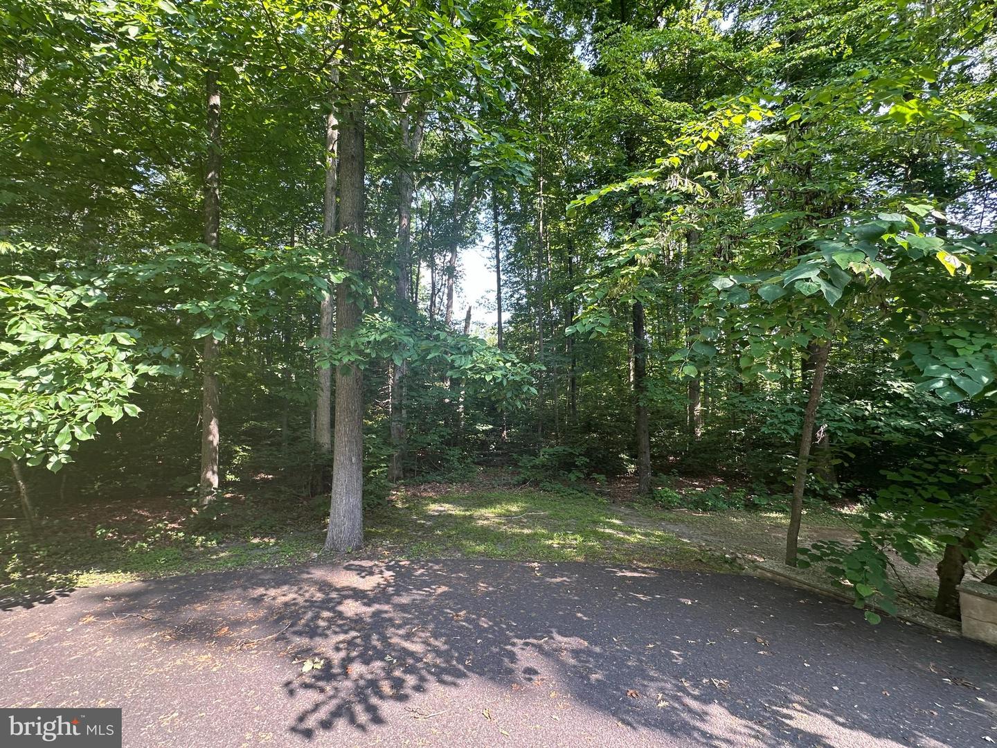 WENDY CIRCLE LOT 35, MINERAL, Virginia 23117, ,Land,For sale,WENDY CIRCLE LOT 35,VALA2007980 MLS # VALA2007980