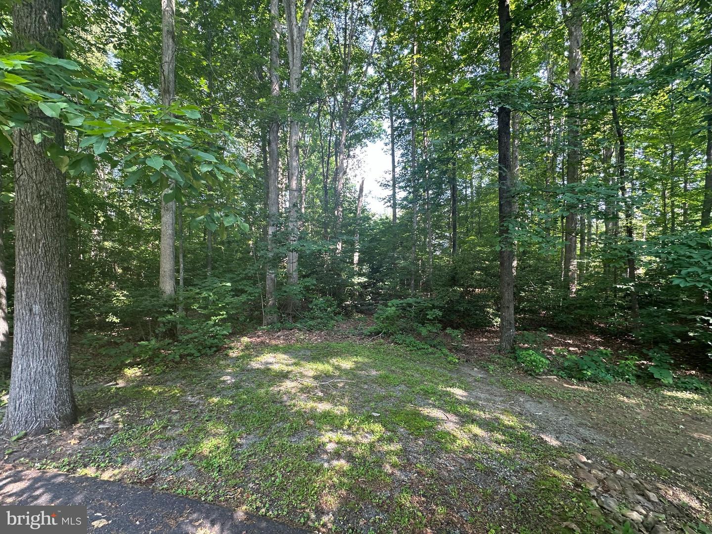 WENDY CIRCLE LOT 35, MINERAL, Virginia 23117, ,Land,For sale,WENDY CIRCLE LOT 35,VALA2007980 MLS # VALA2007980
