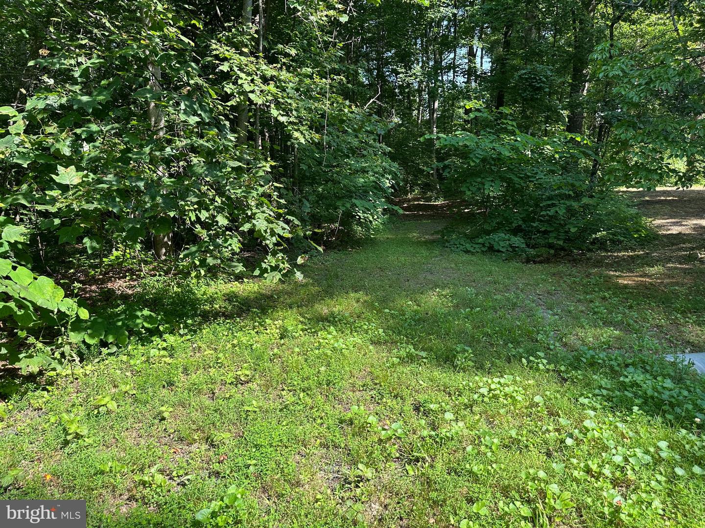 WENDY CIRCLE LOT 35, MINERAL, Virginia 23117, ,Land,For sale,WENDY CIRCLE LOT 35,VALA2007980 MLS # VALA2007980
