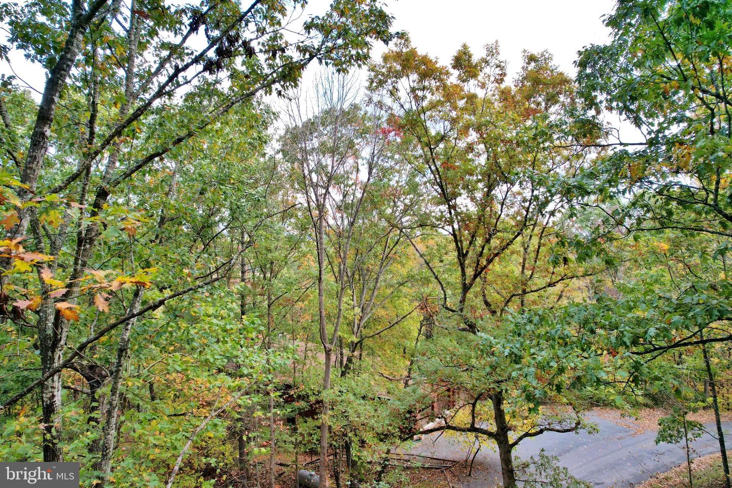 139 LAURA CT, BASYE, Virginia 22810, 3 Bedrooms Bedrooms, ,3 BathroomsBathrooms,Residential,For sale,139 LAURA CT,VASH2011392 MLS # VASH2011392