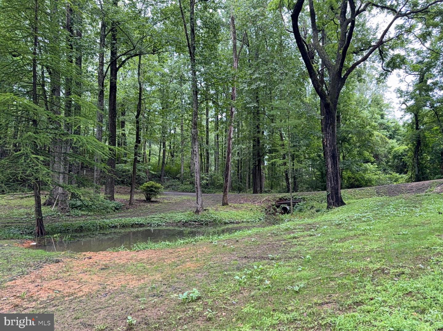 18 BOLTON BRANCH LN, HUNTLY, Virginia 22640, 2 Bedrooms Bedrooms, ,2 BathroomsBathrooms,Residential,For sale,18 BOLTON BRANCH LN,VARP2002108 MLS # VARP2002108