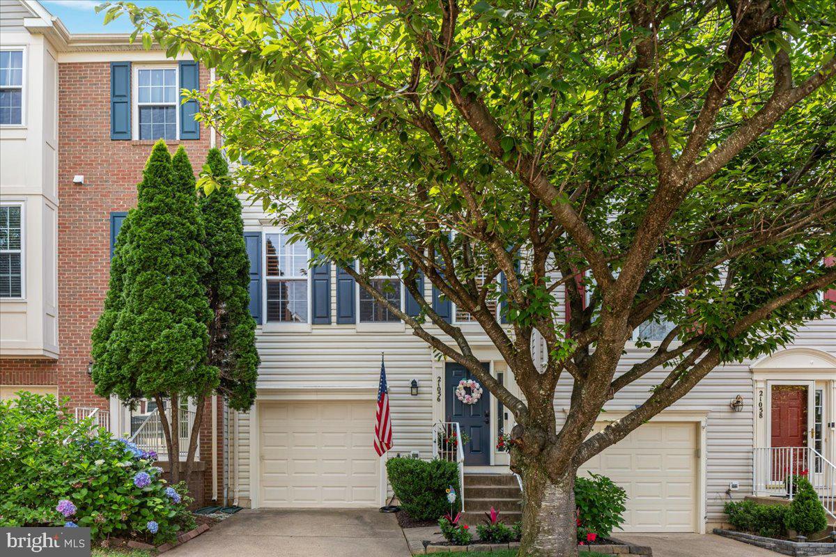 21056 TYLER TOO TER, ASHBURN, Virginia 20147, 3 Bedrooms Bedrooms, ,2 BathroomsBathrooms,Residential,For sale,21056 TYLER TOO TER,VALO2098396 MLS # VALO2098396