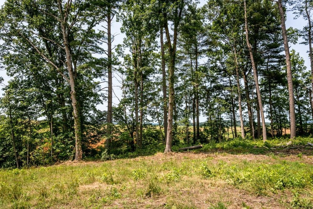 0 PINEY WOODS RD, TIMBERVILLE, Virginia 22853, ,Land,