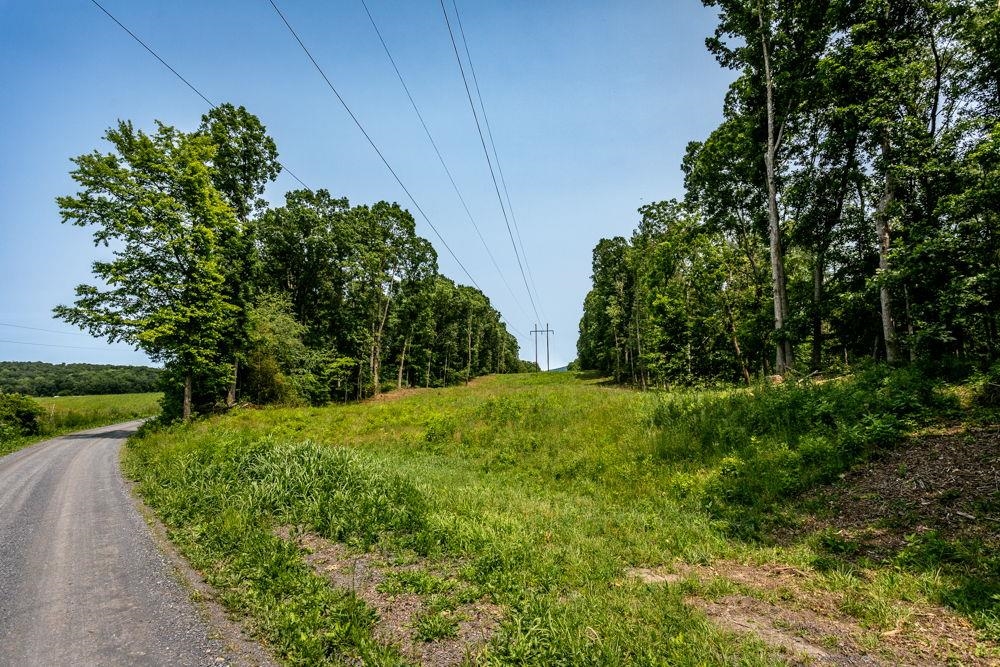 0 PINEY WOODS RD, TIMBERVILLE, Virginia 22853, ,Land,