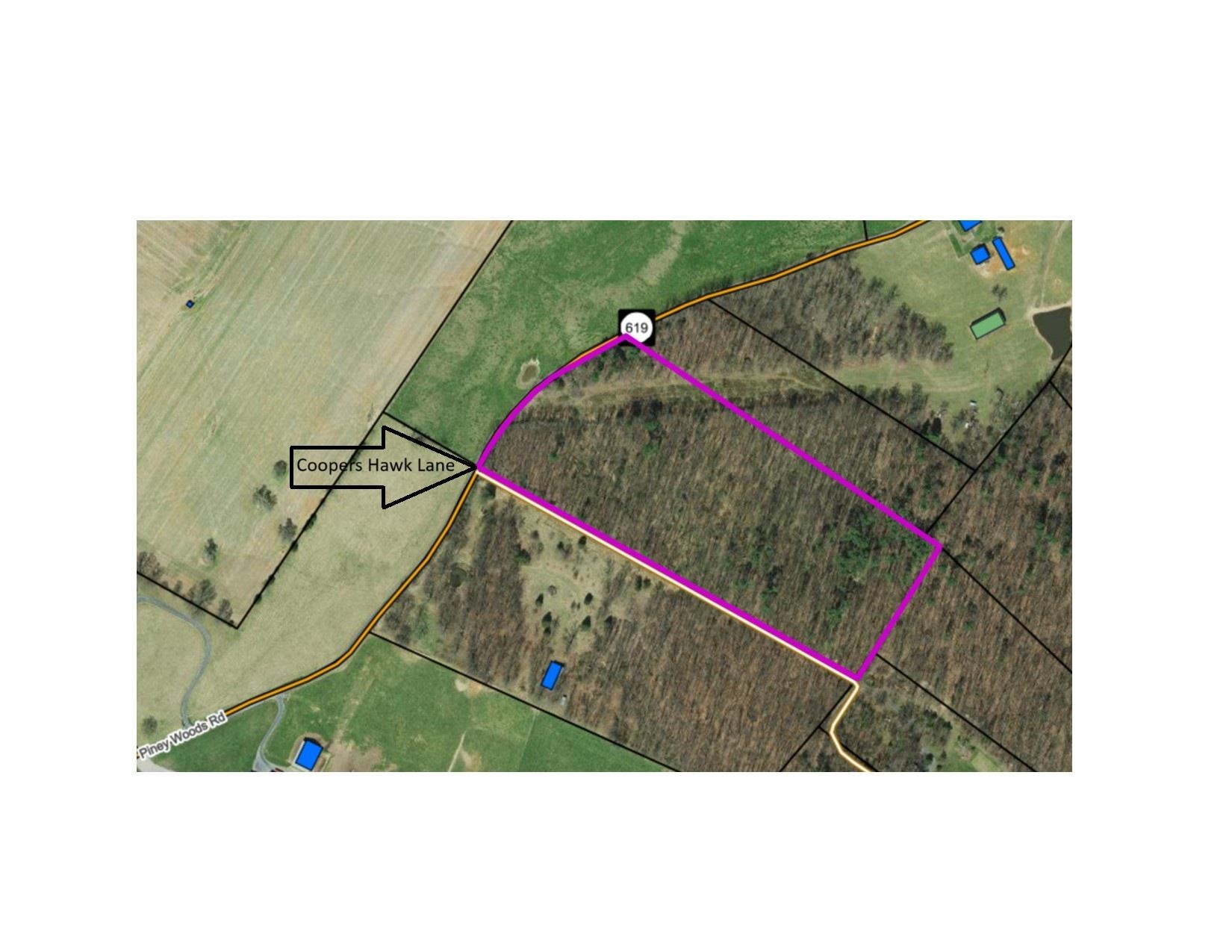 0 PINEY WOODS RD, TIMBERVILLE, Virginia 22853, ,Land,