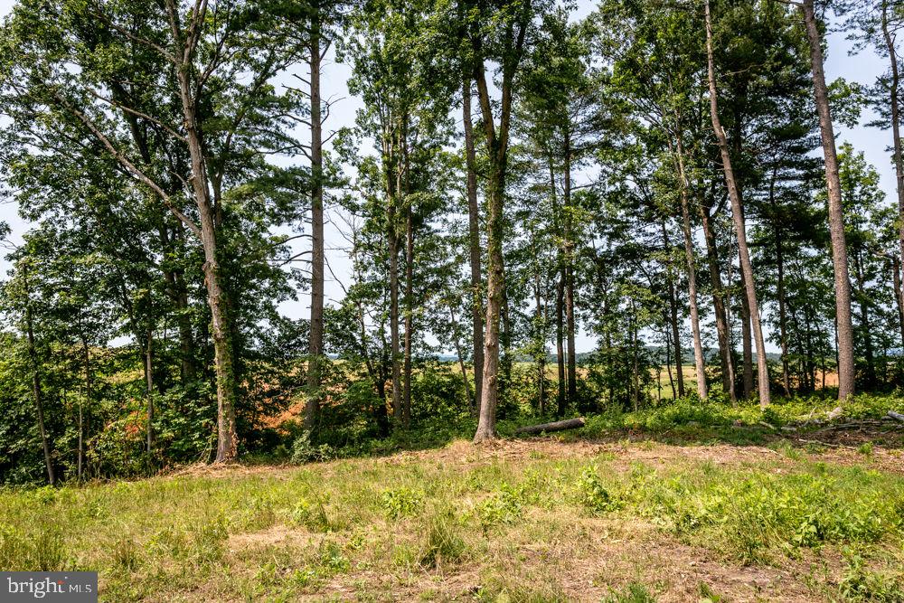 0 PINEY WOODS RD, TIMBERVILLE, Virginia 22853, ,Land,For sale,0 PINEY WOODS RD,VARO2002382 MLS # VARO2002382