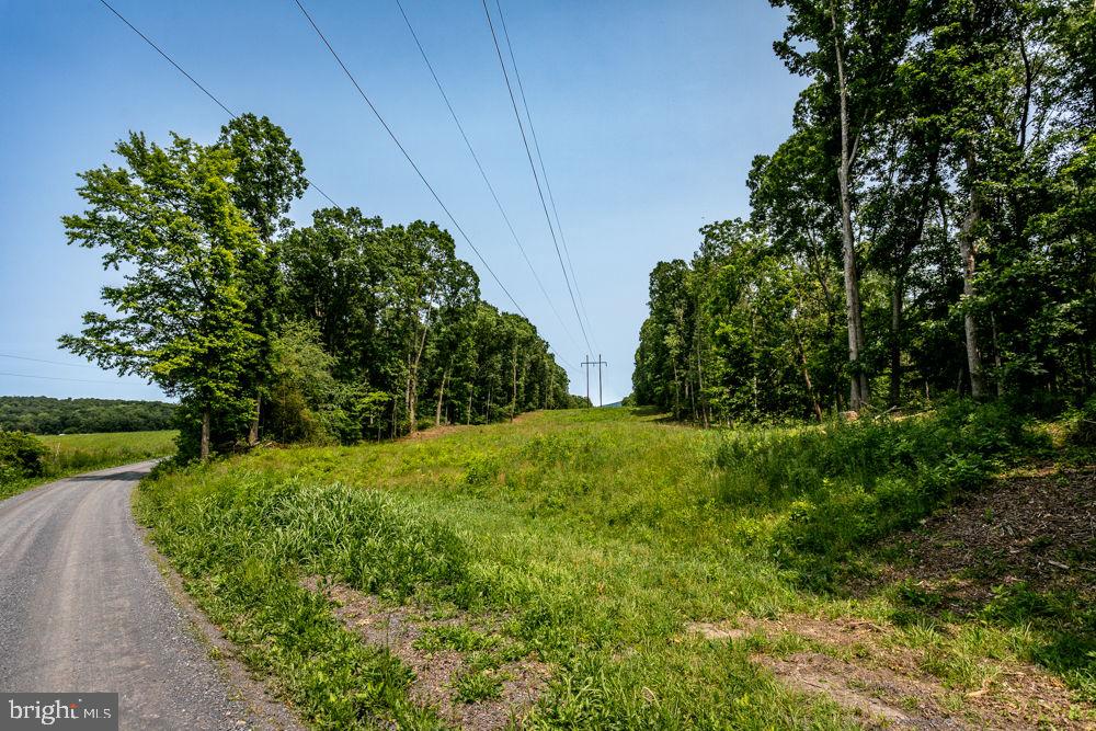 0 PINEY WOODS RD, TIMBERVILLE, Virginia 22853, ,Land,For sale,0 PINEY WOODS RD,VARO2002382 MLS # VARO2002382