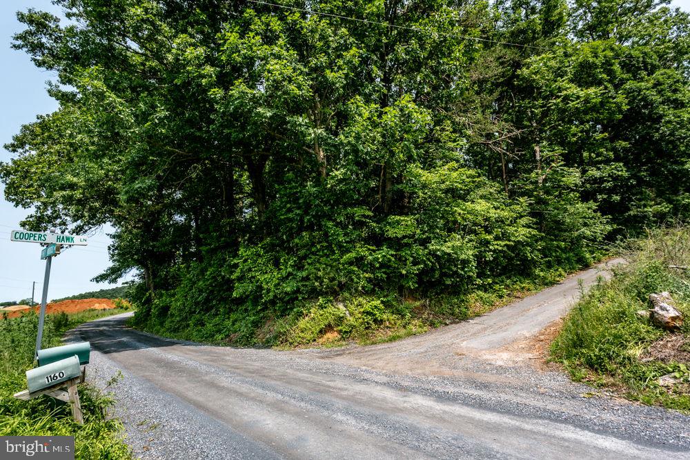 0 PINEY WOODS RD, TIMBERVILLE, Virginia 22853, ,Land,For sale,0 PINEY WOODS RD,VARO2002382 MLS # VARO2002382