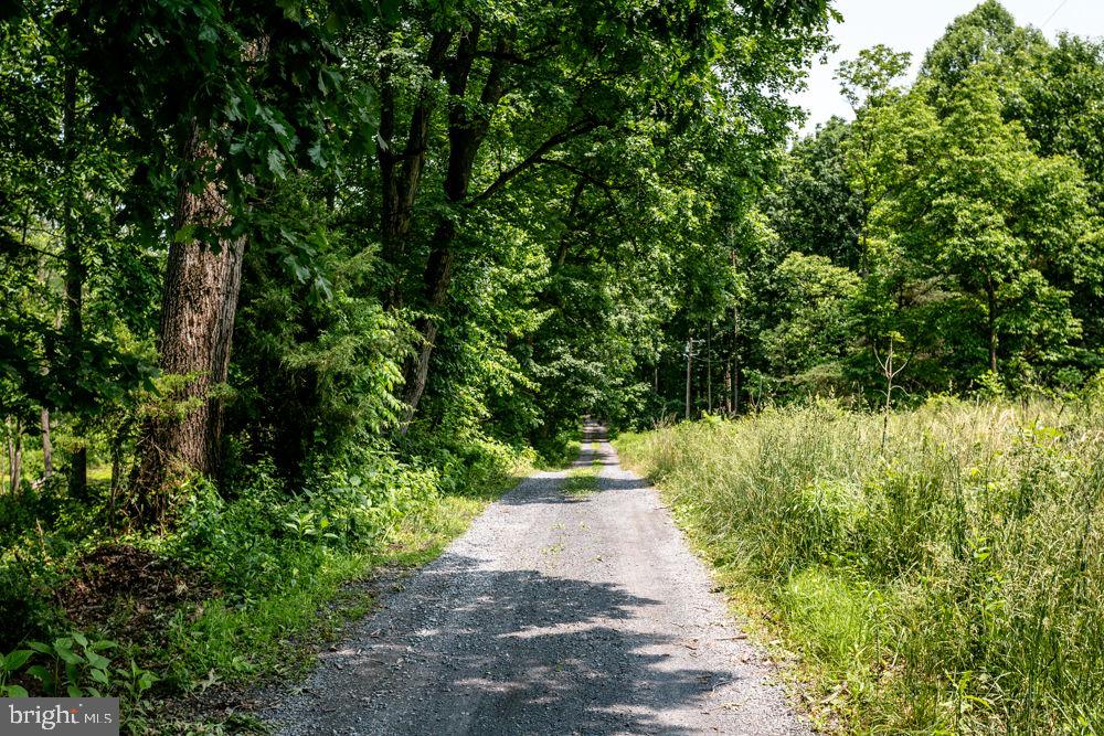 0 PINEY WOODS RD, TIMBERVILLE, Virginia 22853, ,Land,For sale,0 PINEY WOODS RD,VARO2002382 MLS # VARO2002382