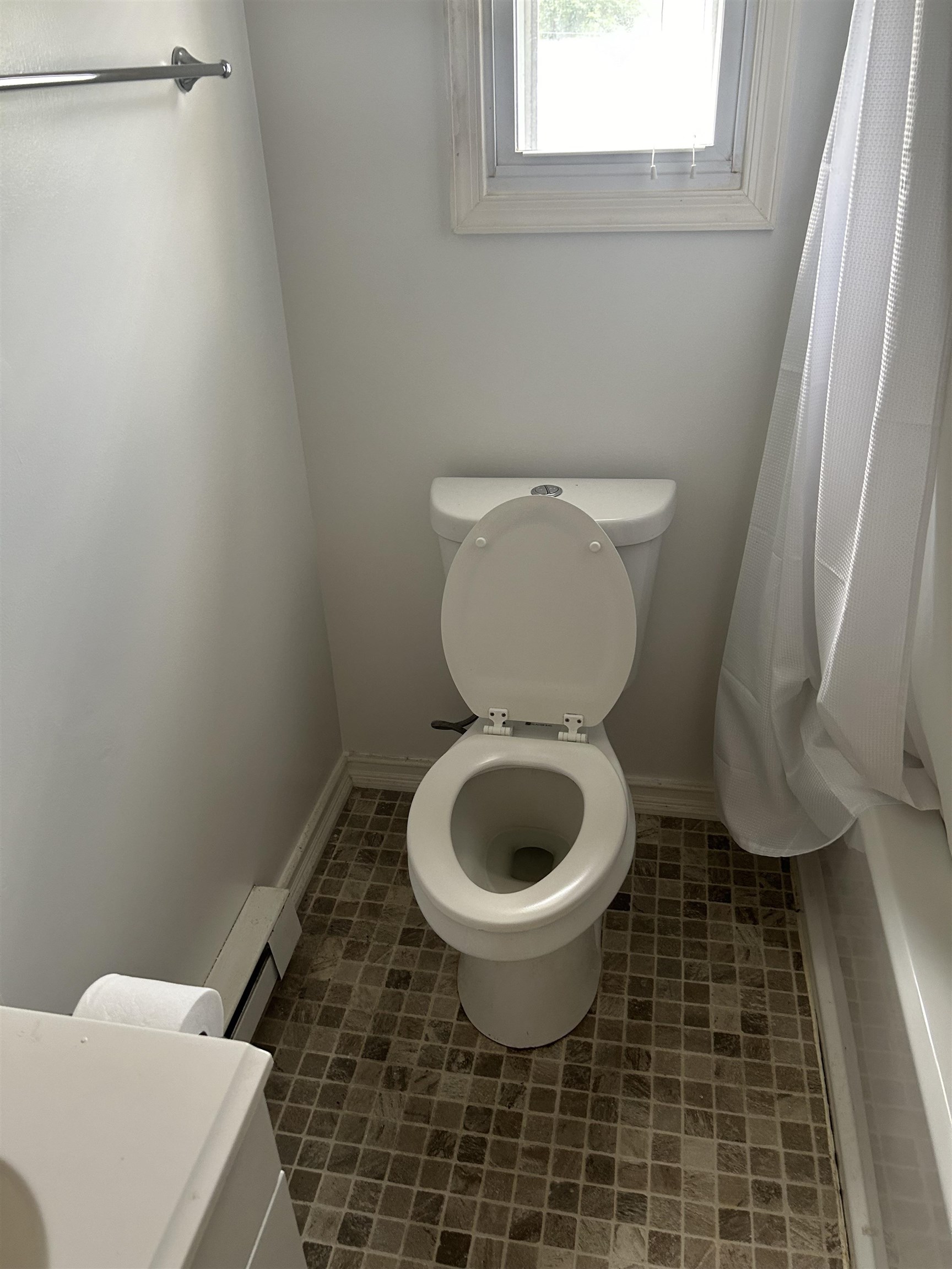 125 MCCUTCHEN SCHOOL LN, GOSHEN, Virginia 24439, 3 Bedrooms Bedrooms, ,1 BathroomBathrooms,Residential,125 MCCUTCHEN SCHOOL LN,665824 MLS # 665824