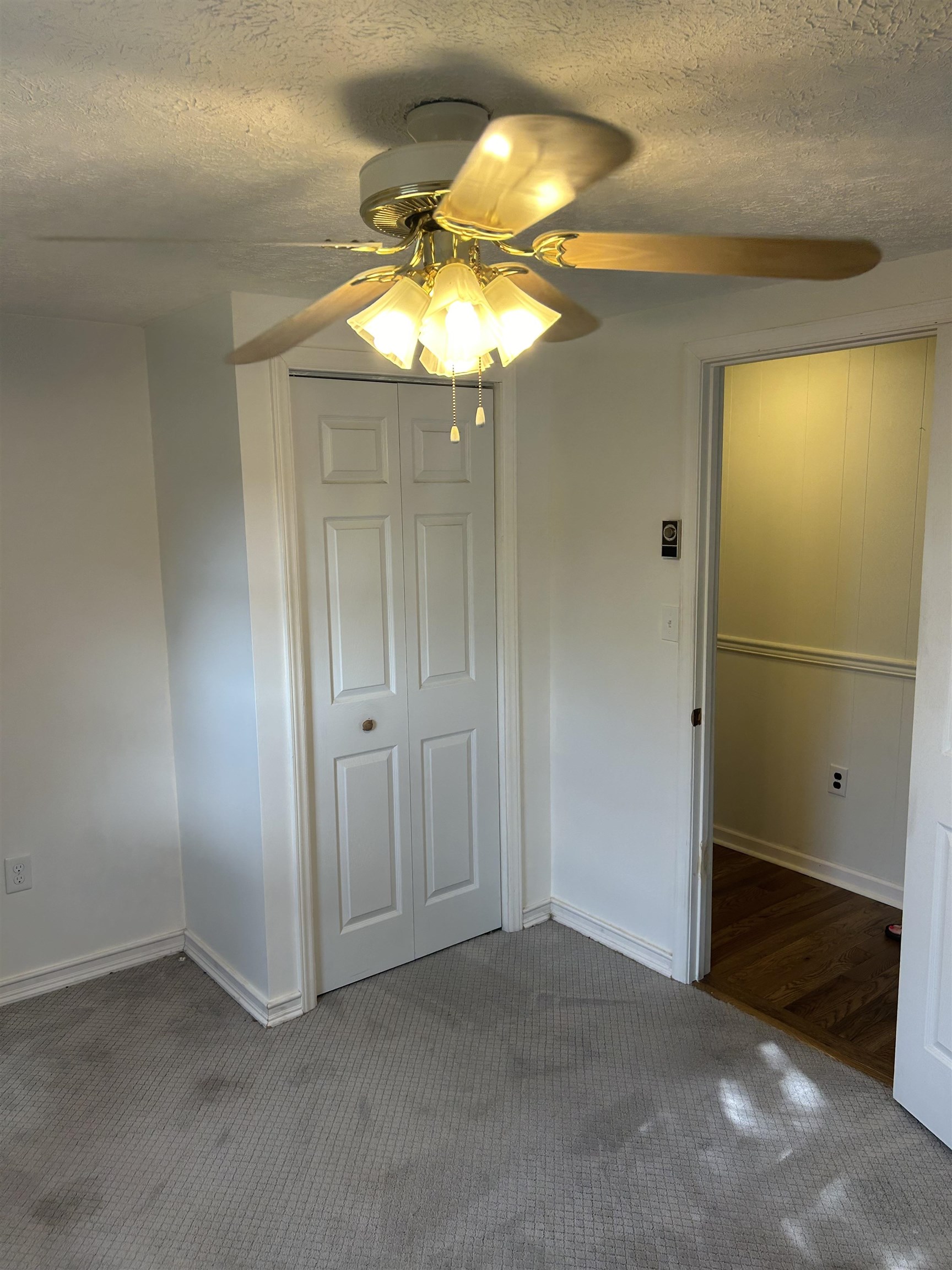 125 MCCUTCHEN SCHOOL LN, GOSHEN, Virginia 24439, 3 Bedrooms Bedrooms, ,1 BathroomBathrooms,Residential,125 MCCUTCHEN SCHOOL LN,665824 MLS # 665824