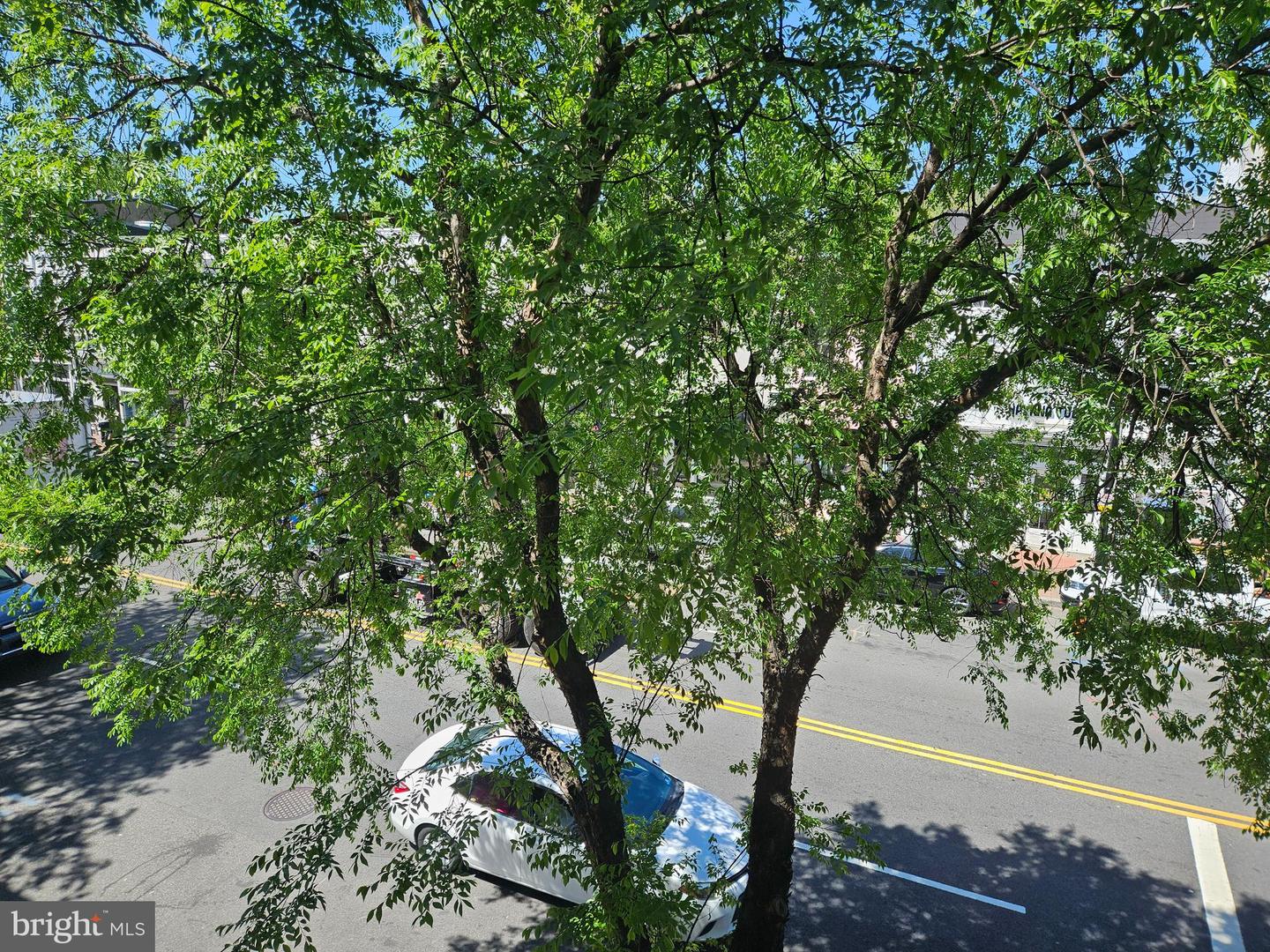 1080 WISCONSIN AVE NW #203, WASHINGTON, District Of Columbia 20007, 1 Bedroom Bedrooms, ,1 BathroomBathrooms,Residential,For sale,1080 WISCONSIN AVE NW #203,DCDC2206200 MLS # DCDC2206200