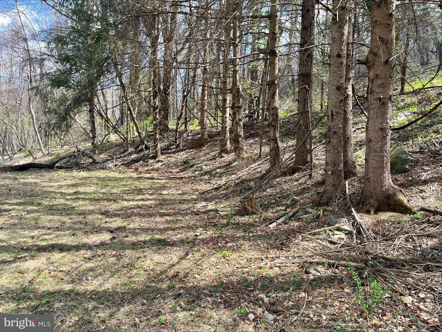 0 HILLSIDE DR., STANLEY, Virginia 22851, ,Land,For sale,0 HILLSIDE DR.,VAPA2004814 MLS # VAPA2004814
