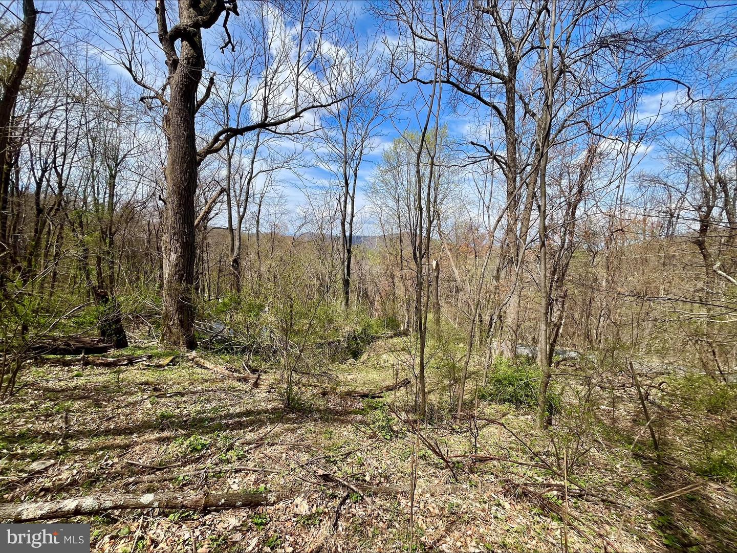 0 HILLSIDE DR., STANLEY, Virginia 22851, ,Land,For sale,0 HILLSIDE DR.,VAPA2004814 MLS # VAPA2004814