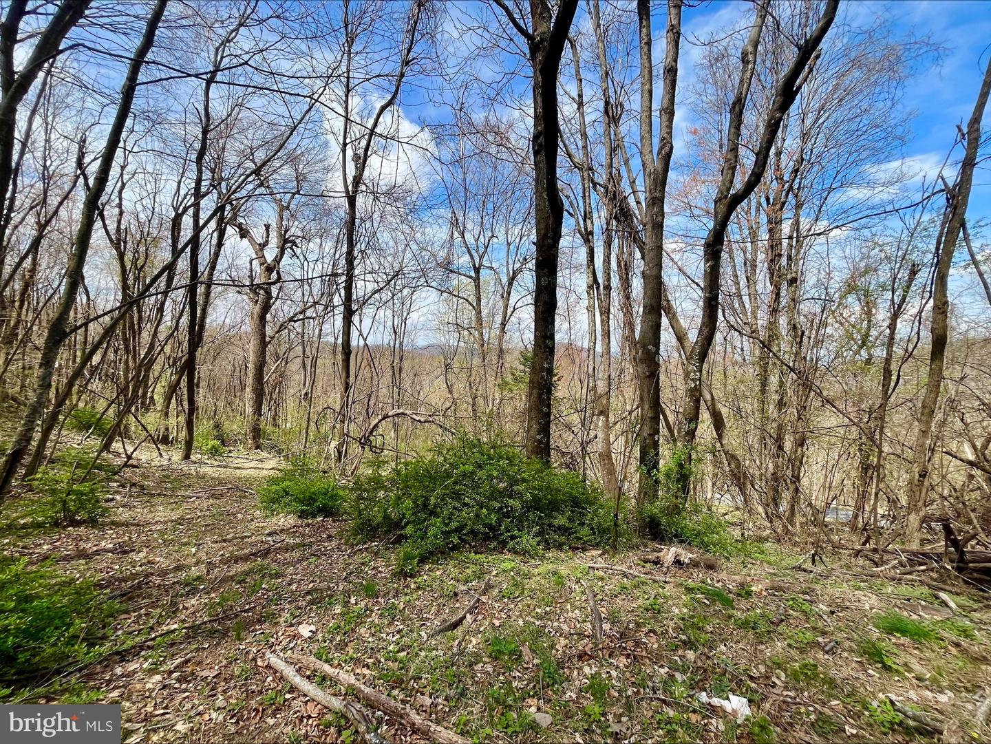 0 HILLSIDE DR., STANLEY, Virginia 22851, ,Land,For sale,0 HILLSIDE DR.,VAPA2004814 MLS # VAPA2004814