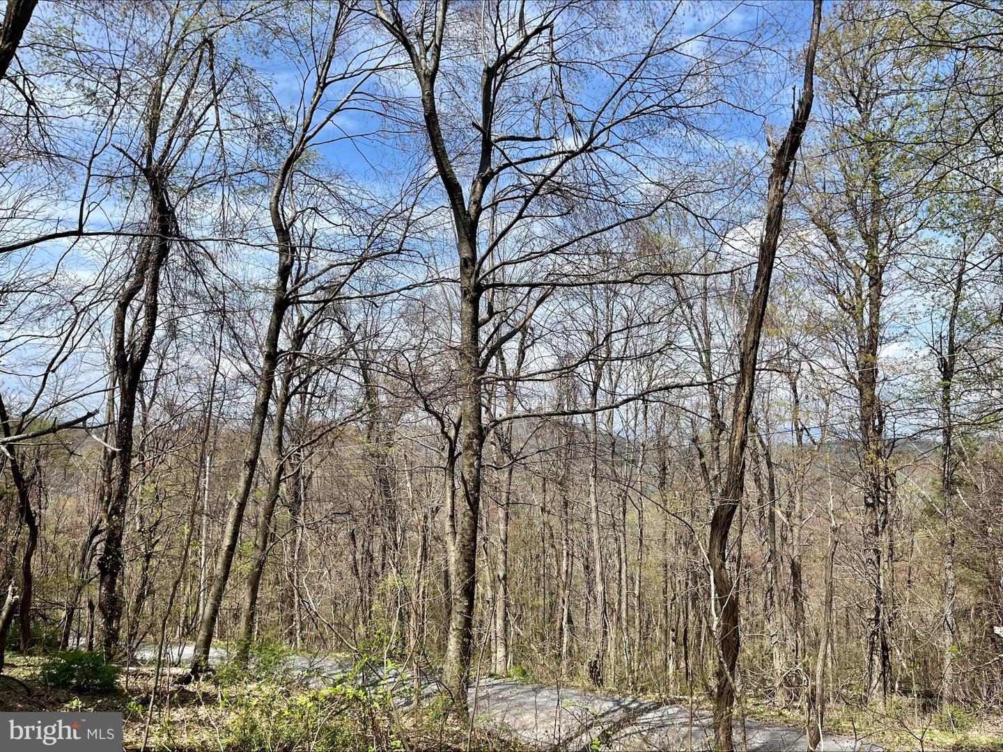 0 HILLSIDE DR., STANLEY, Virginia 22851, ,Land,For sale,0 HILLSIDE DR.,VAPA2004814 MLS # VAPA2004814
