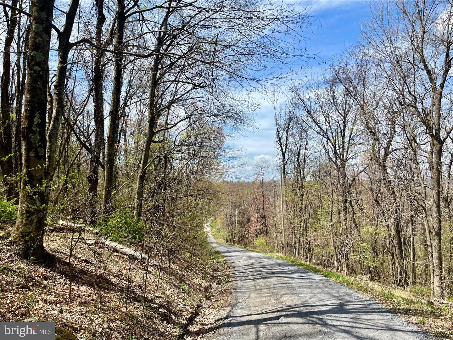 0 HILLSIDE DR., STANLEY, Virginia 22851, ,Land,For sale,0 HILLSIDE DR.,VAPA2004814 MLS # VAPA2004814
