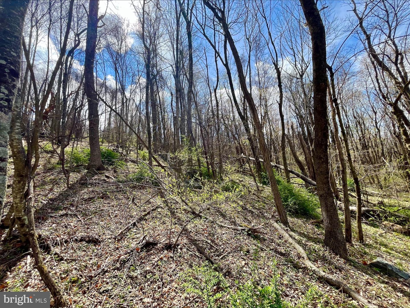 0 HILLSIDE DR., STANLEY, Virginia 22851, ,Land,For sale,0 HILLSIDE DR.,VAPA2004814 MLS # VAPA2004814