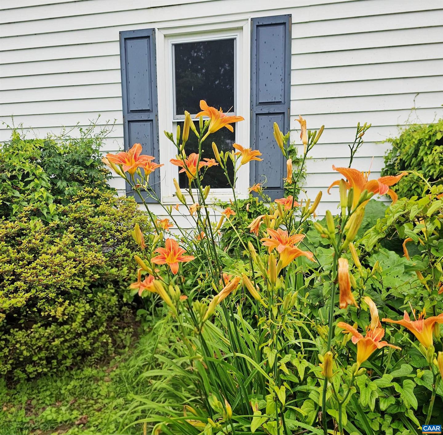 9751 SINGERS GLEN RD, SINGERS GLEN, Virginia 22850, 3 Bedrooms Bedrooms, ,1 BathroomBathrooms,Residential,For sale,9751 SINGERS GLEN RD,660126 MLS # 660126