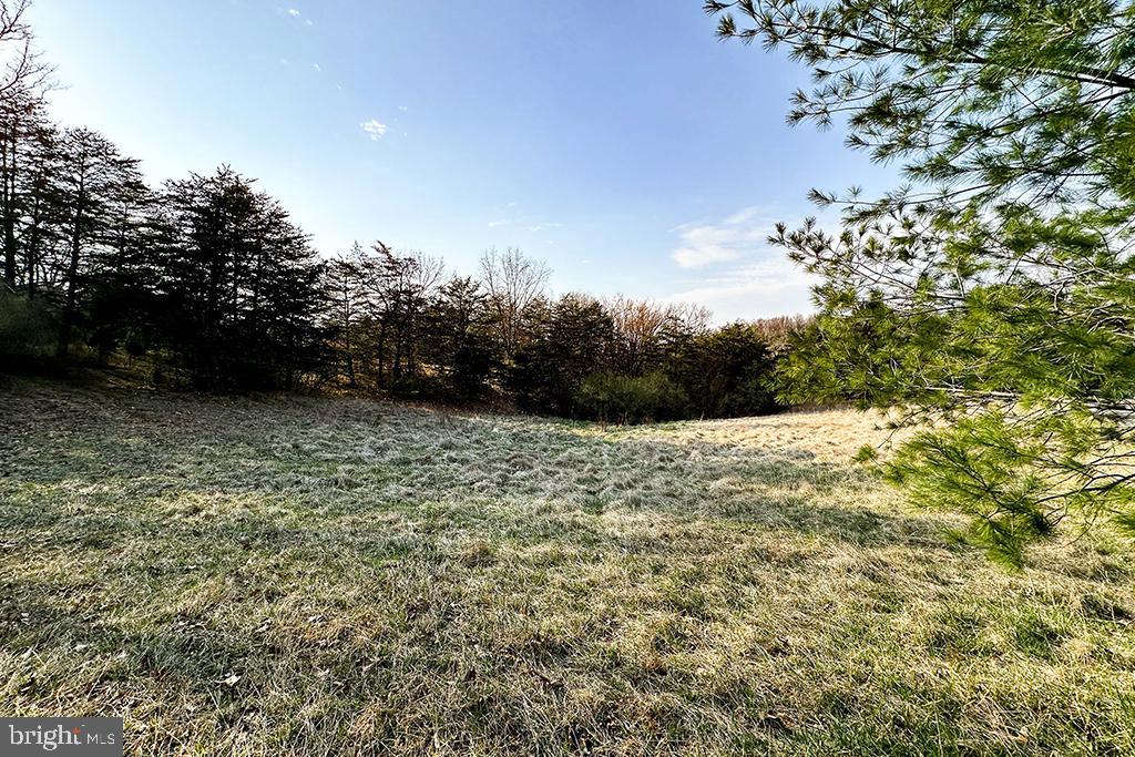 0 ADAMS RD, WINCHESTER, Virginia 22603, ,Land,For sale,0 ADAMS RD,VAFV2034928 MLS # VAFV2034928