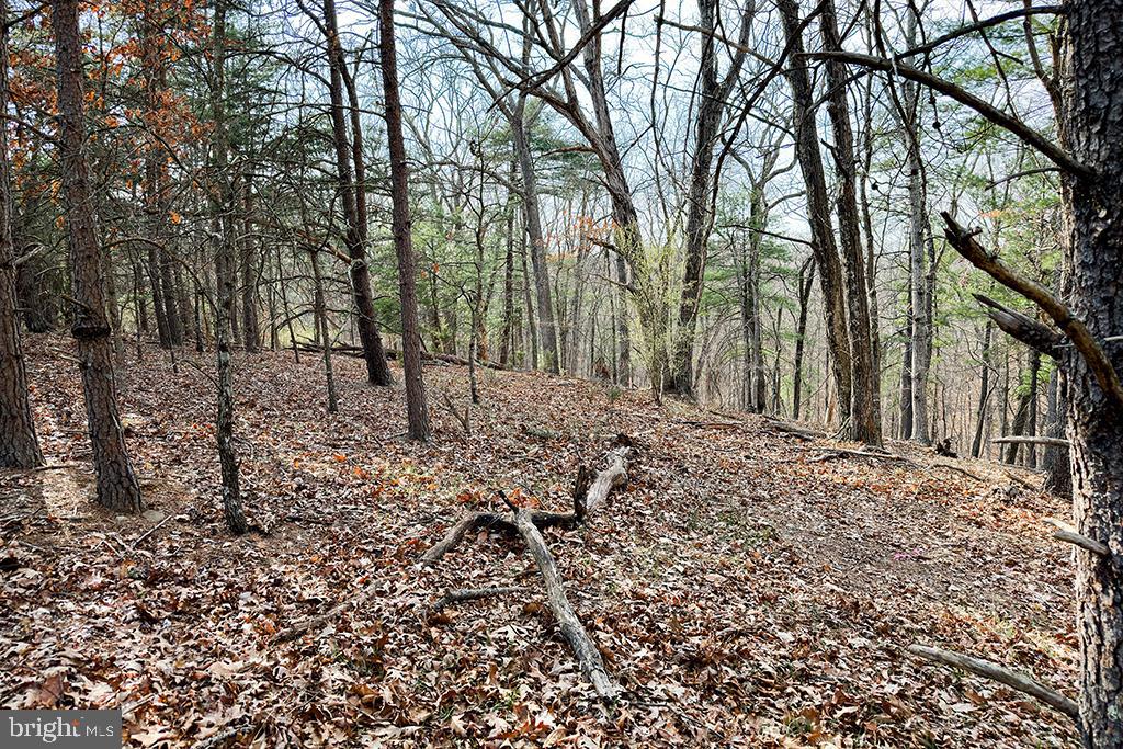 0 ADAMS RD, WINCHESTER, Virginia 22603, ,Land,For sale,0 ADAMS RD,VAFV2034928 MLS # VAFV2034928