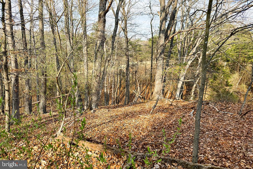 0 ADAMS RD, WINCHESTER, Virginia 22603, ,Land,For sale,0 ADAMS RD,VAFV2034928 MLS # VAFV2034928