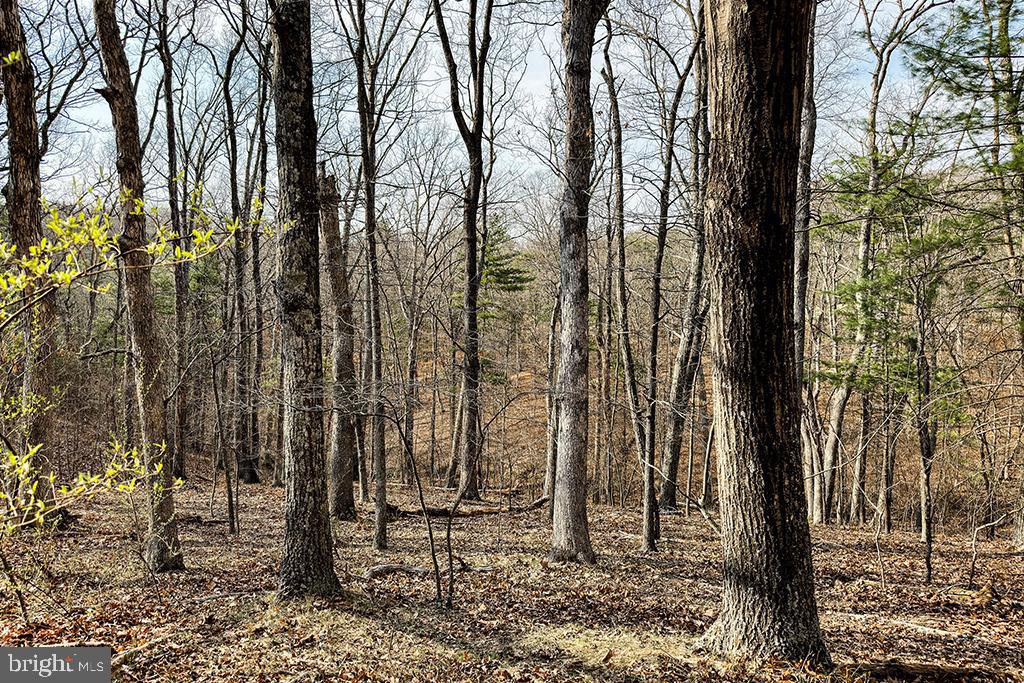 0 ADAMS RD, WINCHESTER, Virginia 22603, ,Land,For sale,0 ADAMS RD,VAFV2034928 MLS # VAFV2034928