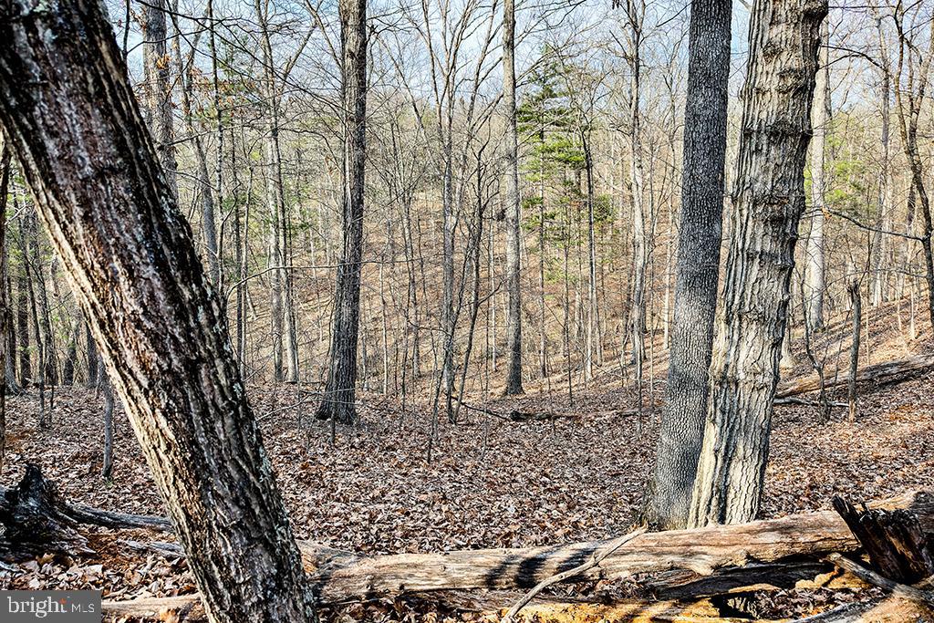 0 ADAMS RD, WINCHESTER, Virginia 22603, ,Land,For sale,0 ADAMS RD,VAFV2034928 MLS # VAFV2034928