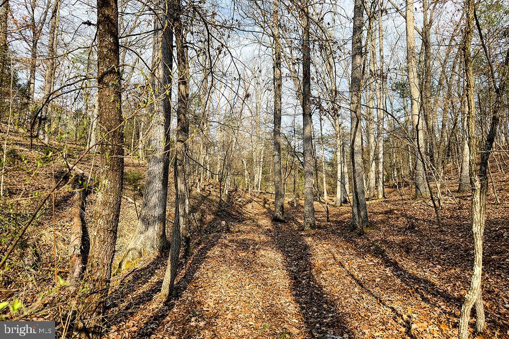 0 ADAMS RD, WINCHESTER, Virginia 22603, ,Land,For sale,0 ADAMS RD,VAFV2034928 MLS # VAFV2034928