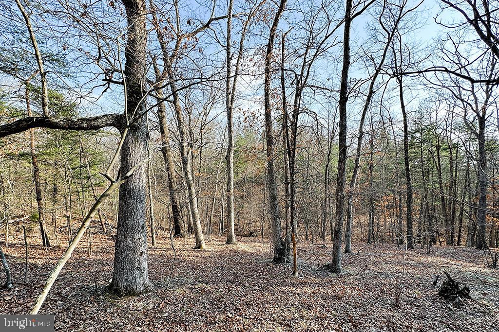 0 ADAMS RD, WINCHESTER, Virginia 22603, ,Land,For sale,0 ADAMS RD,VAFV2034928 MLS # VAFV2034928