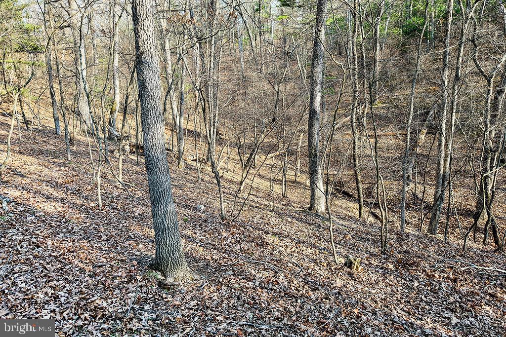 0 ADAMS RD, WINCHESTER, Virginia 22603, ,Land,For sale,0 ADAMS RD,VAFV2034928 MLS # VAFV2034928