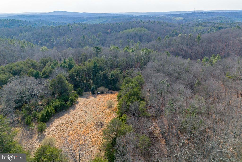 0 ADAMS RD, WINCHESTER, Virginia 22603, ,Land,For sale,0 ADAMS RD,VAFV2034928 MLS # VAFV2034928