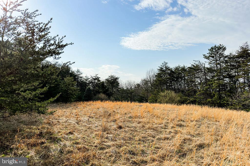 0 ADAMS RD, WINCHESTER, Virginia 22603, ,Land,For sale,0 ADAMS RD,VAFV2034928 MLS # VAFV2034928