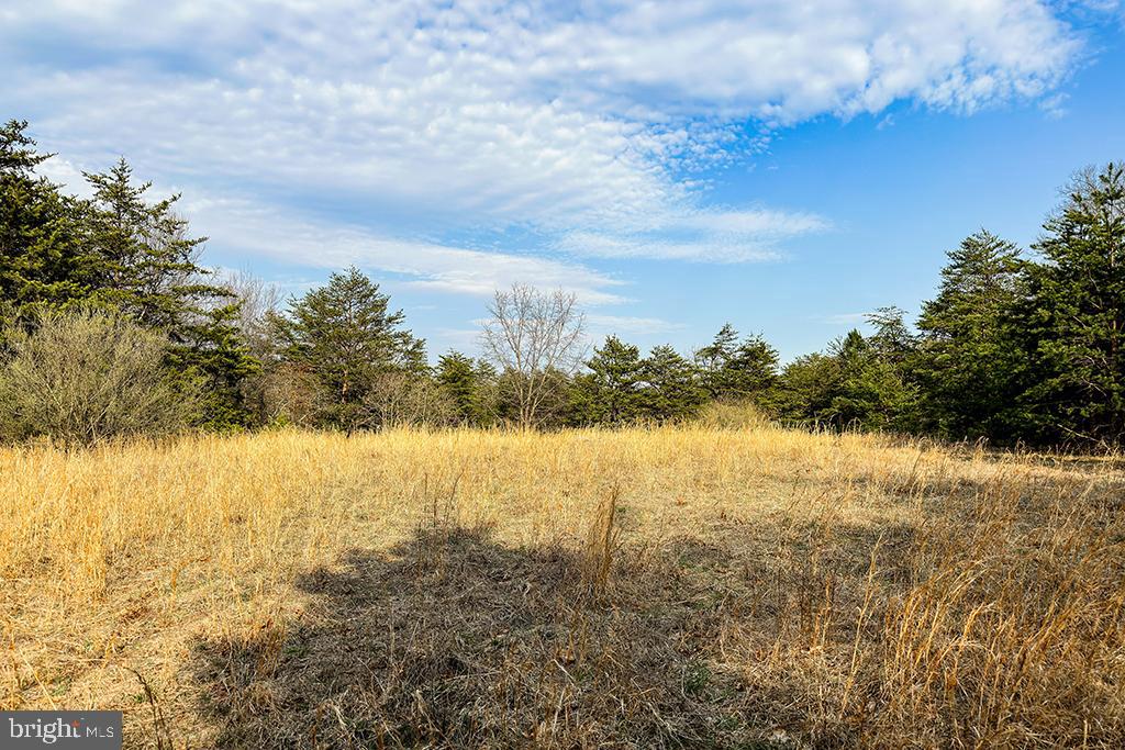 0 ADAMS RD, WINCHESTER, Virginia 22603, ,Land,For sale,0 ADAMS RD,VAFV2034928 MLS # VAFV2034928