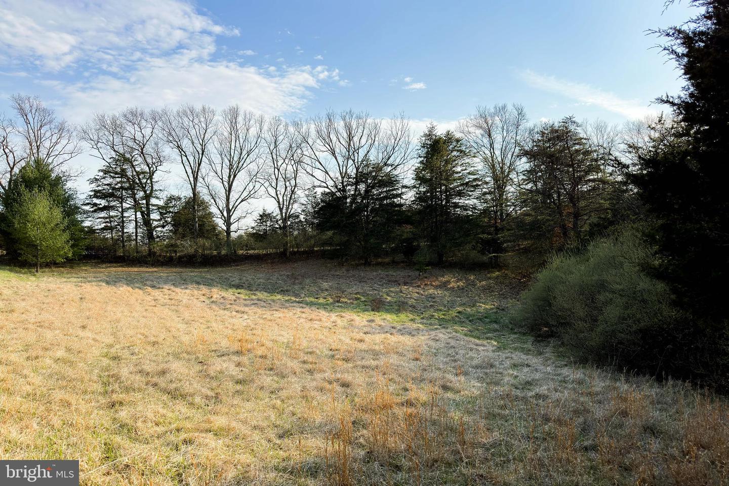 0 ADAMS RD, WINCHESTER, Virginia 22603, ,Land,For sale,0 ADAMS RD,VAFV2034928 MLS # VAFV2034928
