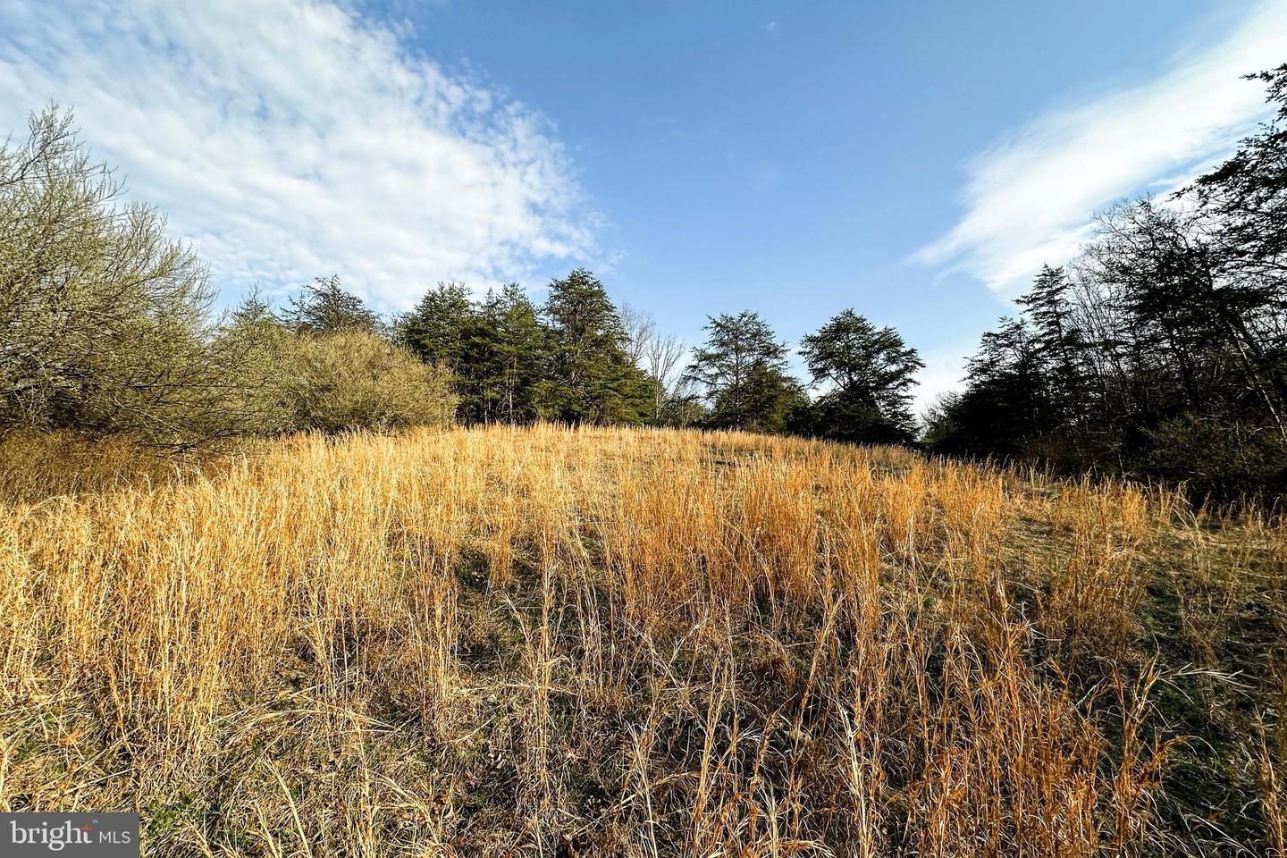 0 ADAMS RD, WINCHESTER, Virginia 22603, ,Land,For sale,0 ADAMS RD,VAFV2034928 MLS # VAFV2034928