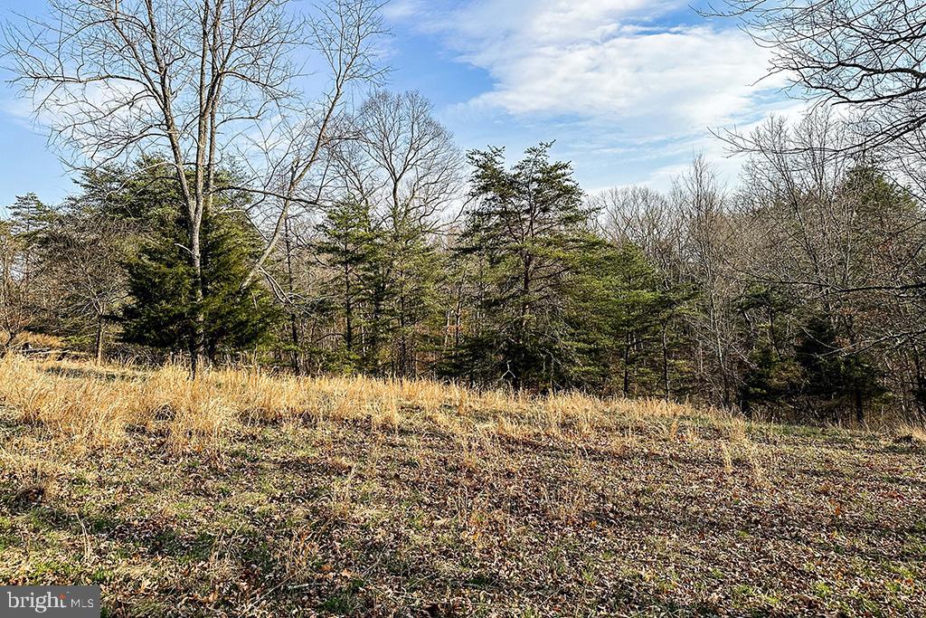 0 ADAMS RD, WINCHESTER, Virginia 22603, ,Land,For sale,0 ADAMS RD,VAFV2034928 MLS # VAFV2034928