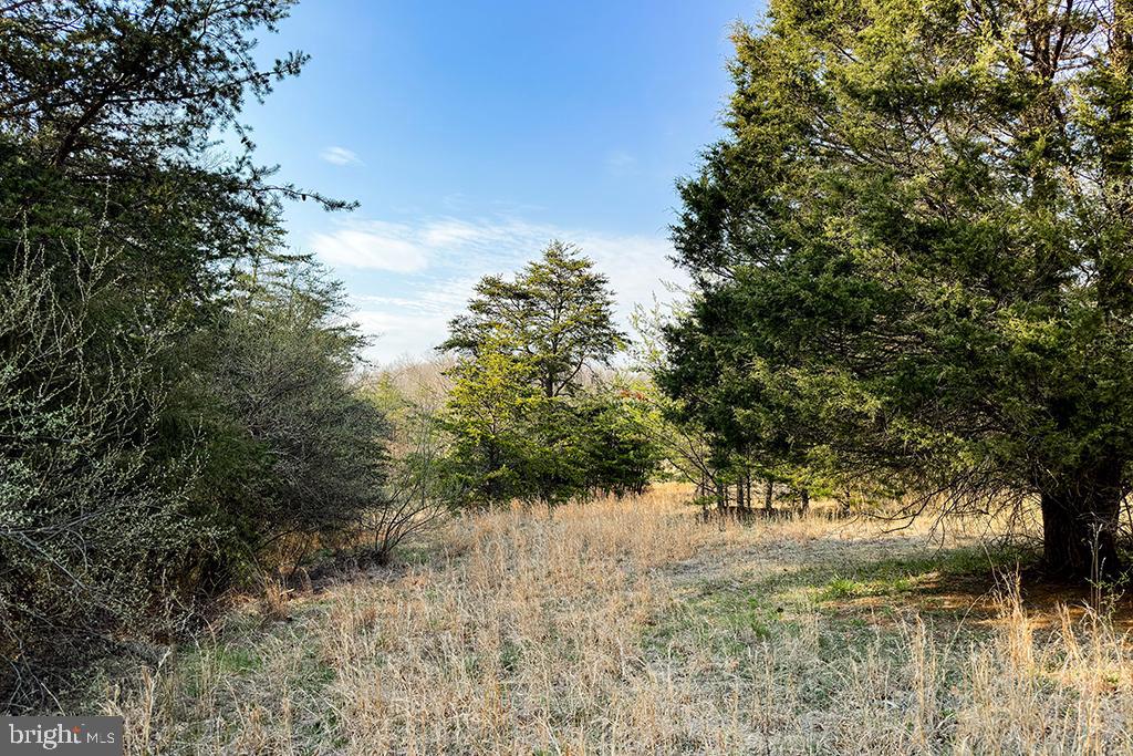 0 ADAMS RD, WINCHESTER, Virginia 22603, ,Land,For sale,0 ADAMS RD,VAFV2034928 MLS # VAFV2034928