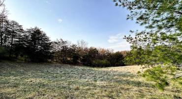 0 ADAMS RD, WINCHESTER, Virginia 22603, ,Land,For sale,0 ADAMS RD,VAFV2034928 MLS # VAFV2034928