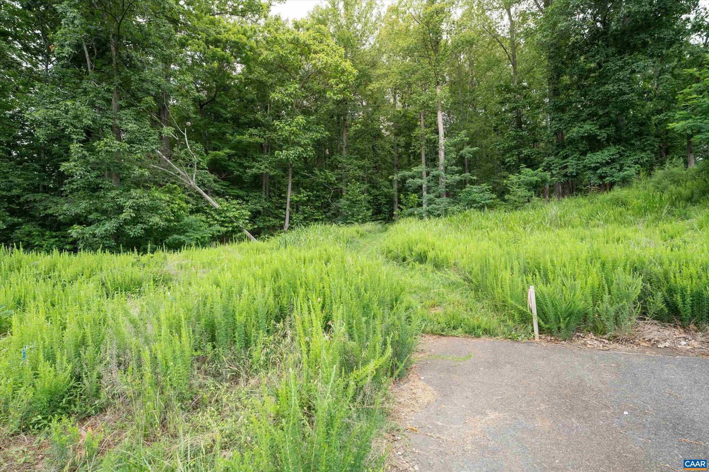 HYLAND RIDGE DR #R2, CHARLOTTESVILLE, Virginia 22901, ,Land,For sale,HYLAND RIDGE DR #R2,665843 MLS # 665843