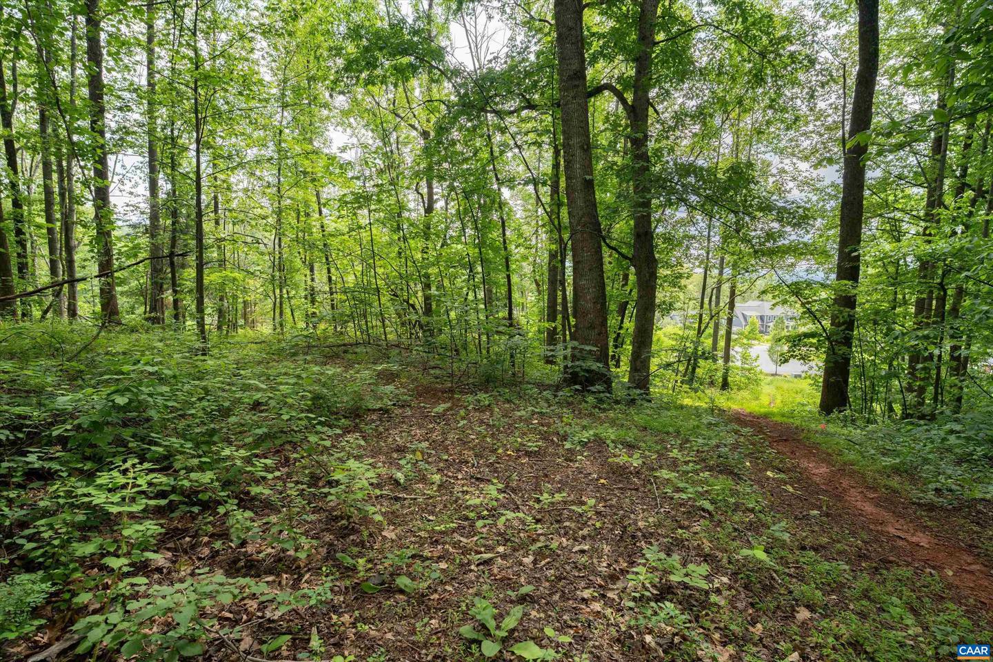 HYLAND RIDGE DR #R2, CHARLOTTESVILLE, Virginia 22901, ,Land,For sale,HYLAND RIDGE DR #R2,665843 MLS # 665843
