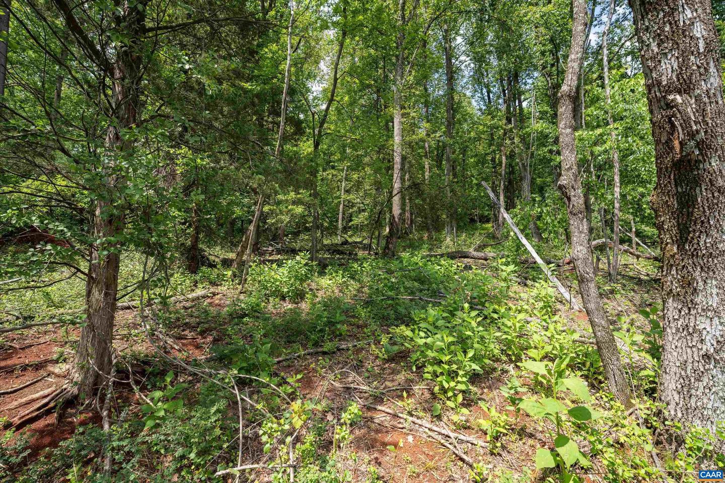 HYLAND RIDGE DR #R2, CHARLOTTESVILLE, Virginia 22901, ,Land,For sale,HYLAND RIDGE DR #R2,665843 MLS # 665843