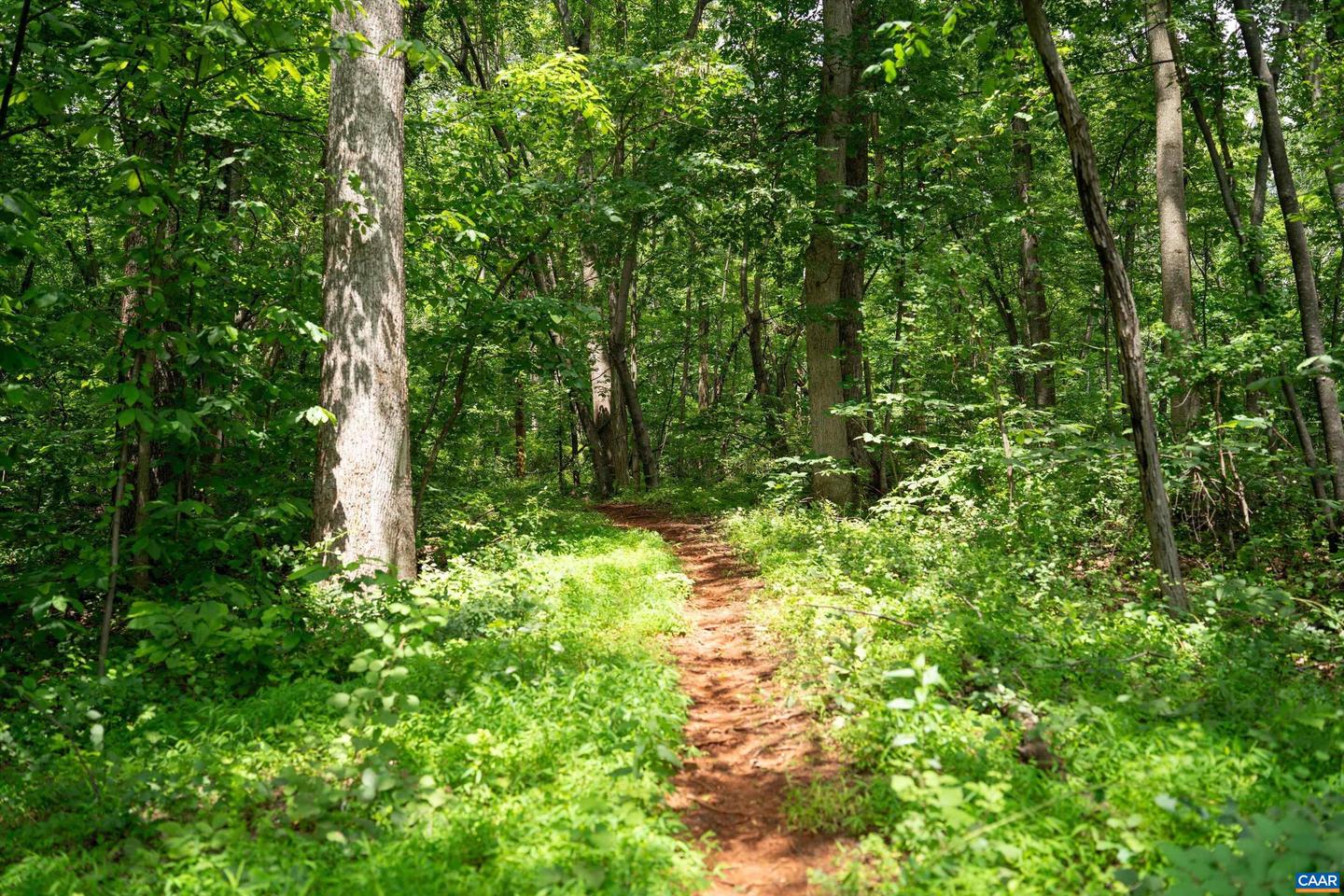 HYLAND RIDGE DR #R2, CHARLOTTESVILLE, Virginia 22901, ,Land,For sale,HYLAND RIDGE DR #R2,665843 MLS # 665843