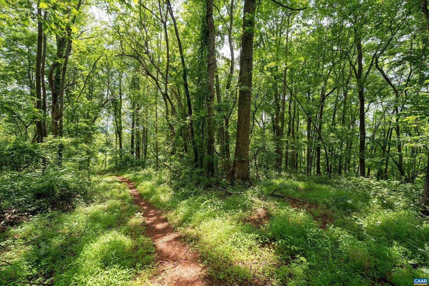 HYLAND RIDGE DR #R2, CHARLOTTESVILLE, Virginia 22901, ,Land,For sale,HYLAND RIDGE DR #R2,665843 MLS # 665843